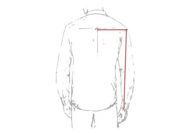 Dibujo a lápiz simple de una chaqueta o abrigo desde atrás.