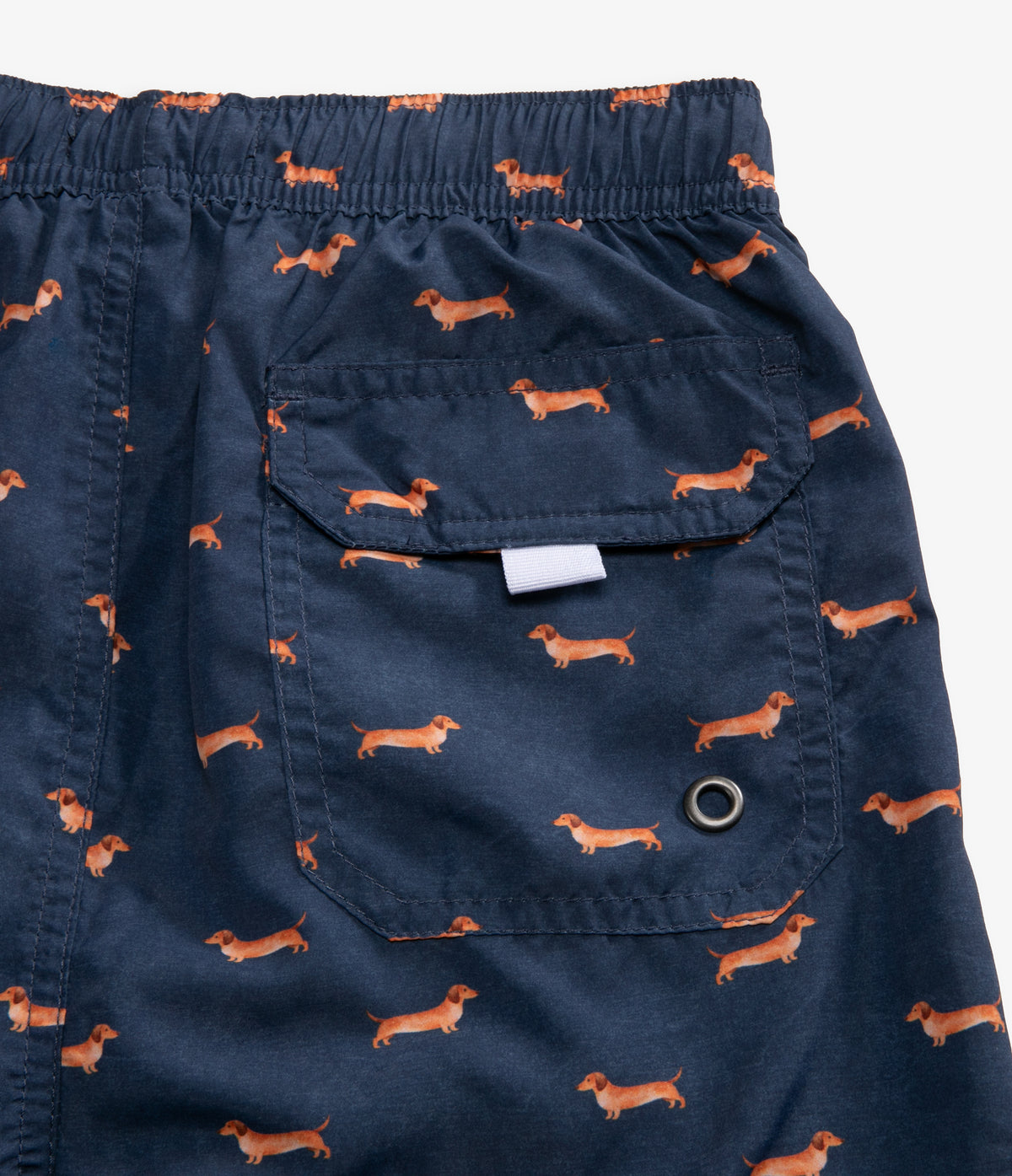 Traje de Baño Niño Perro Salchicha